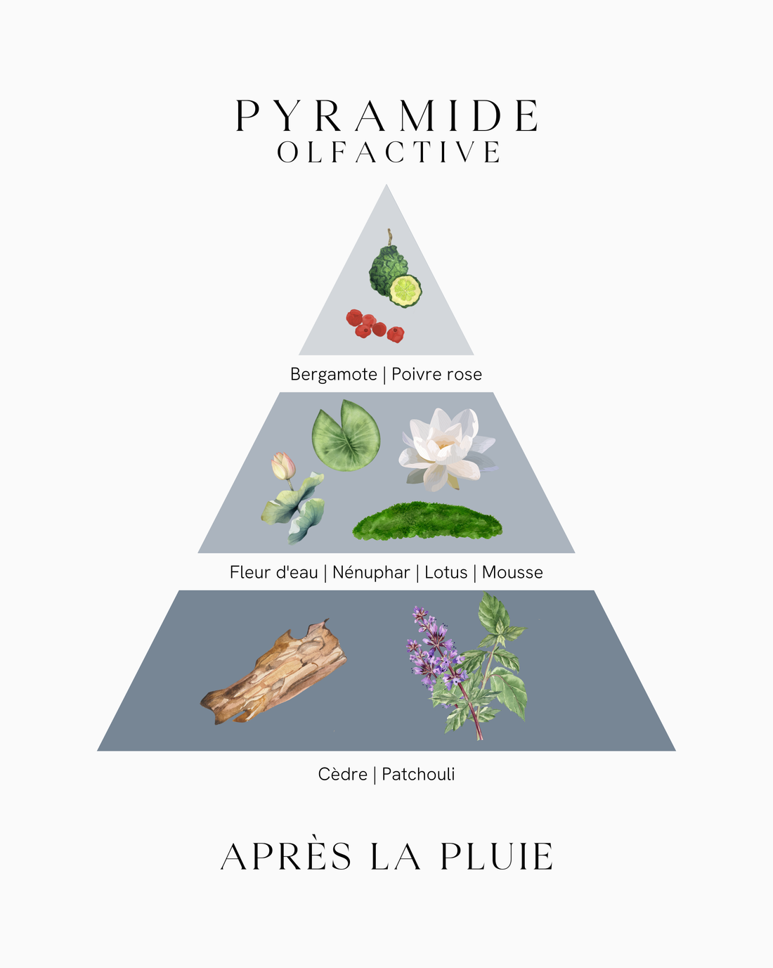 Bougie parfumée en bocal - Après la Pluie