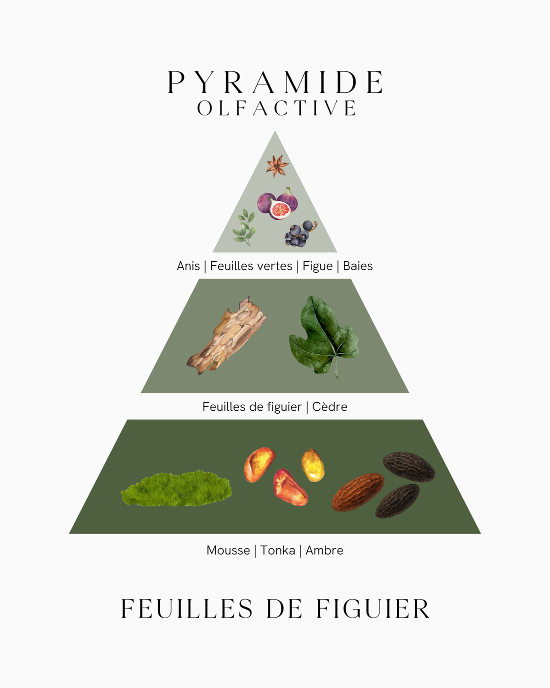 Parfum d'intérieur - Feuilles de Figuier