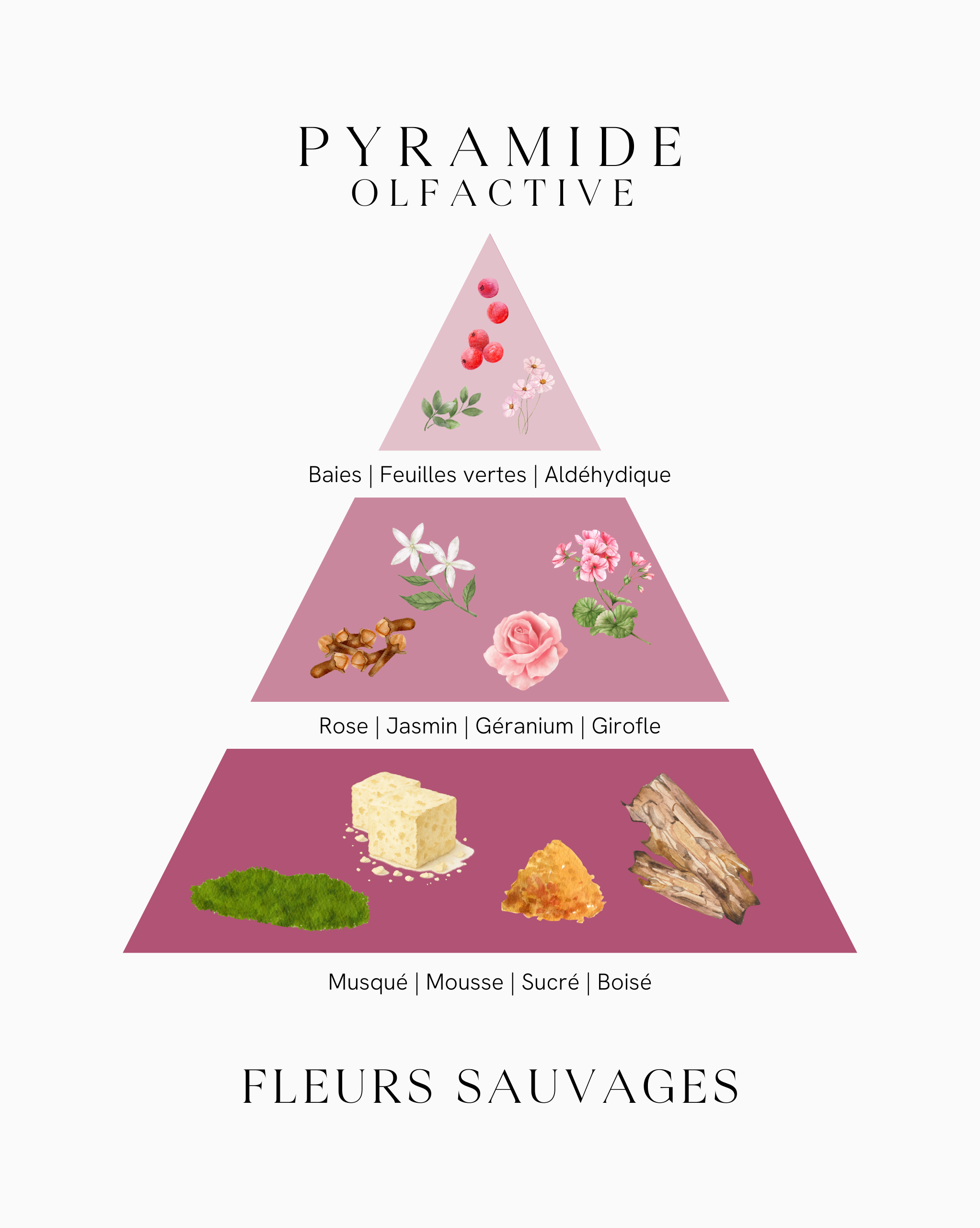 Diffuseur de parfum - Fleurs Sauvages