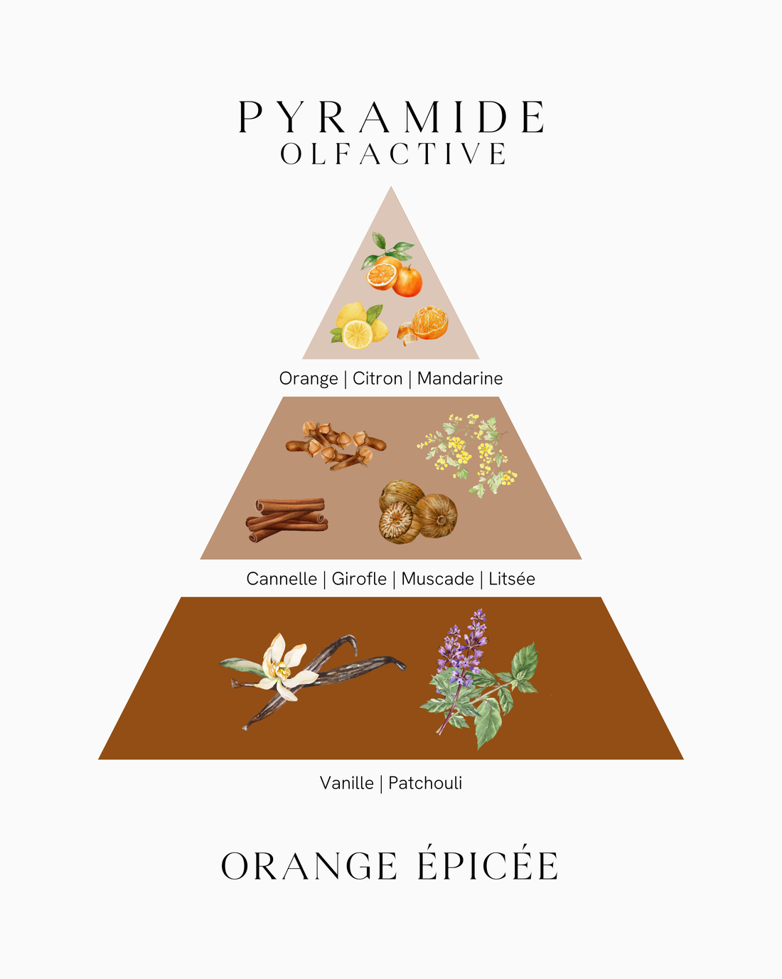 Bougie parfumée capsule - Orange épicée