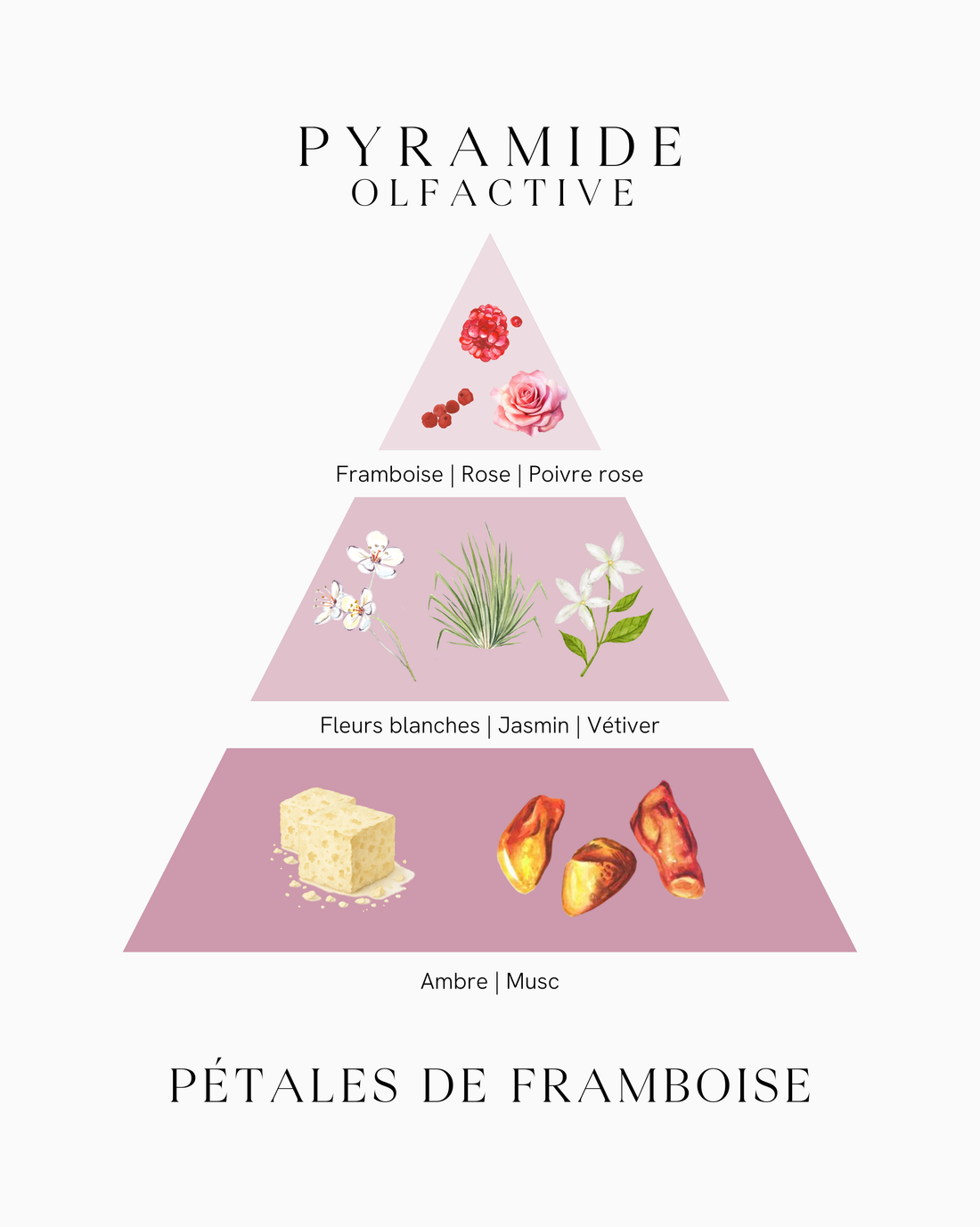 Recharge diffuseur de parfum - Pétales de Framboise