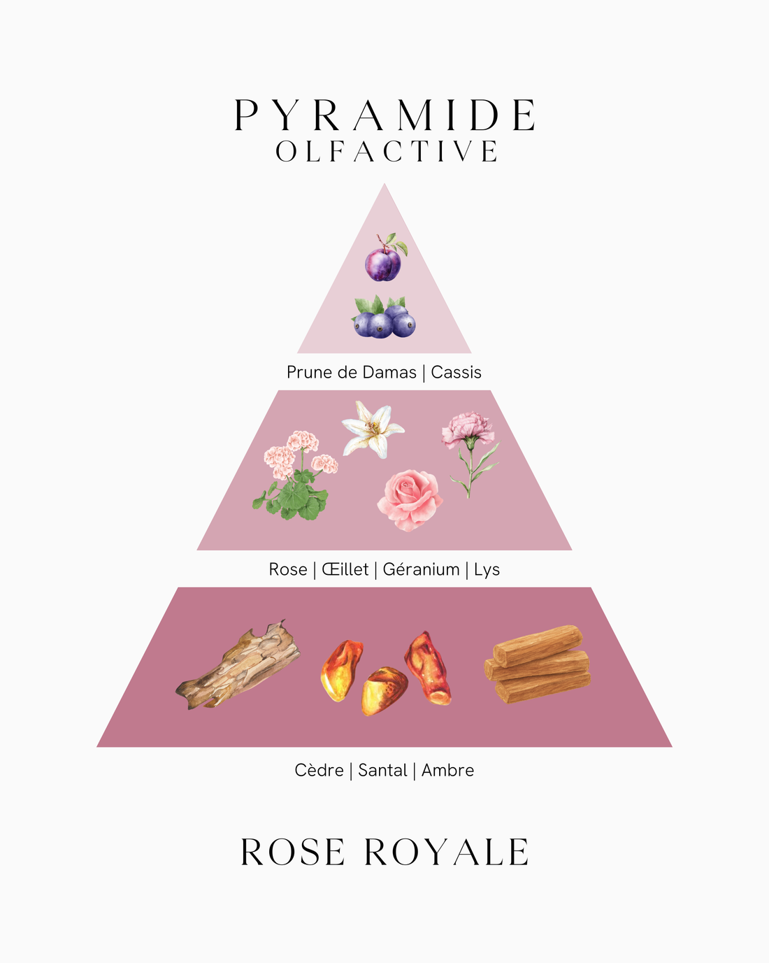 Recharge diffuseur de parfum - Rose Royale