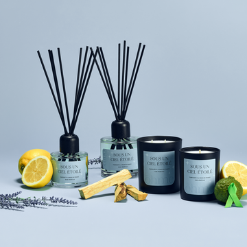 Sous un Ciel étoilé