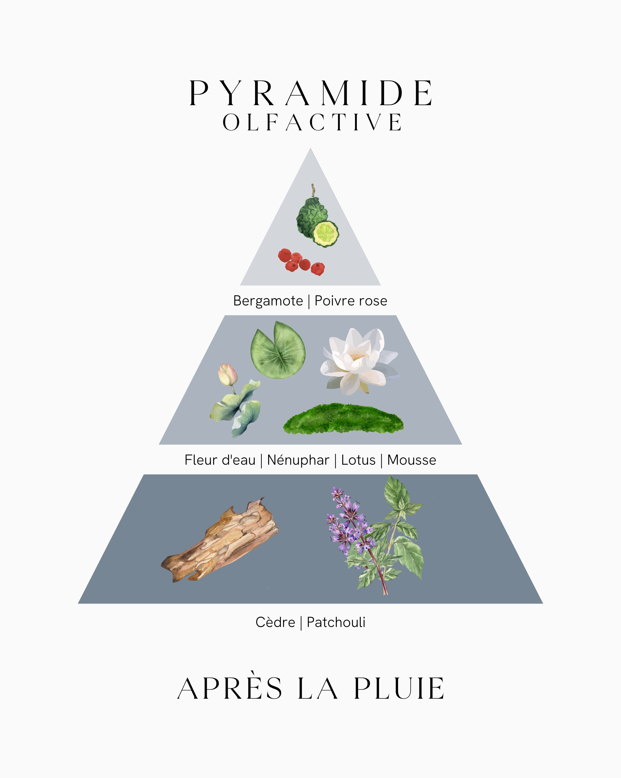 Parfum d'intérieur - Après la Pluie