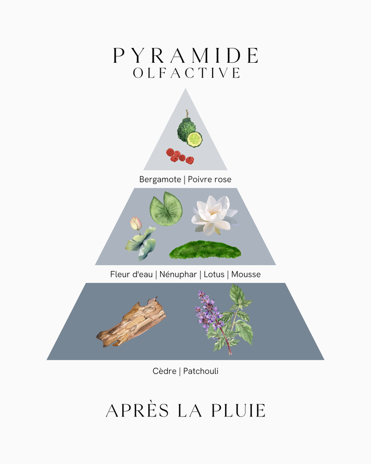 Fondant parfumé - Après la Pluie