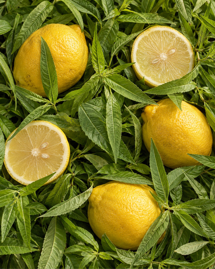 Bougie parfumée Verveine