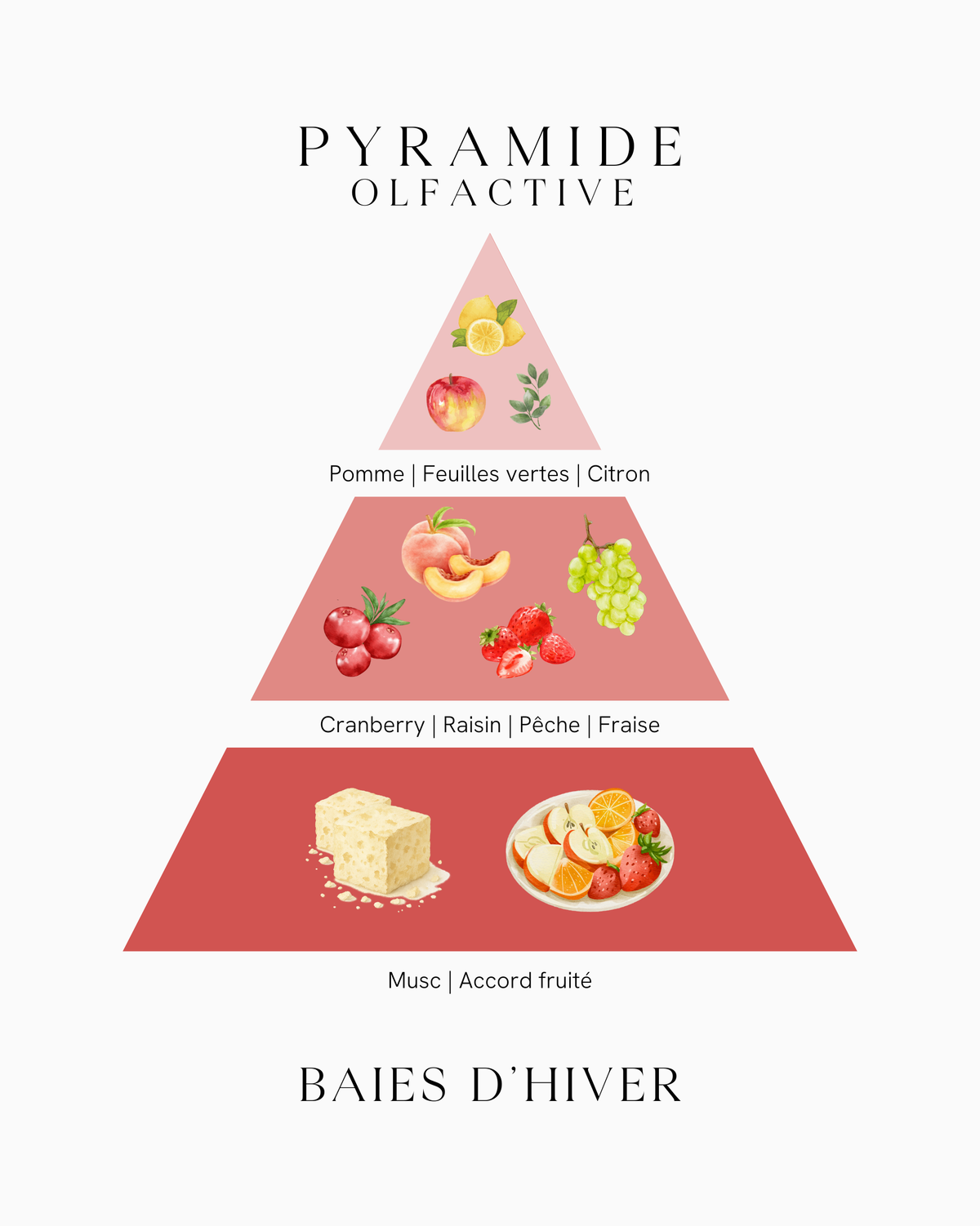 Pyramide olfactive Baies d'Hiver