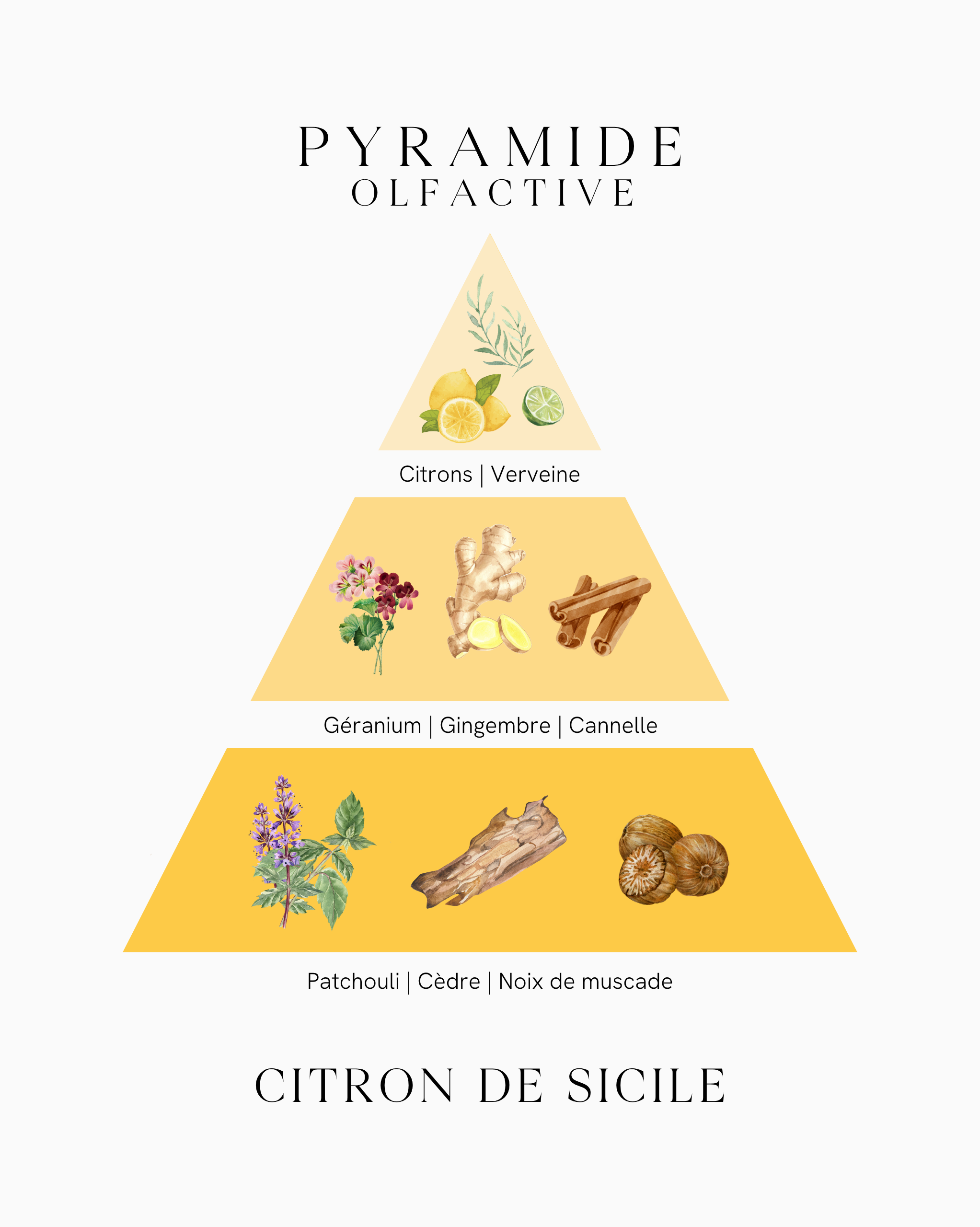 Bougie parfumée capsule - Citron de Sicile