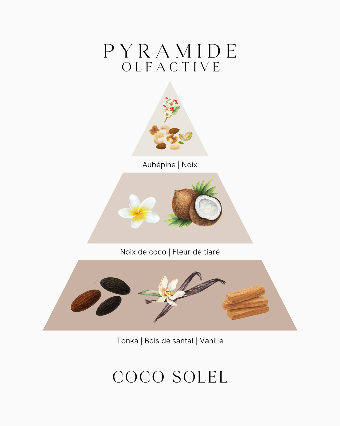 Bougie parfumée en bocal - Coco Soleil