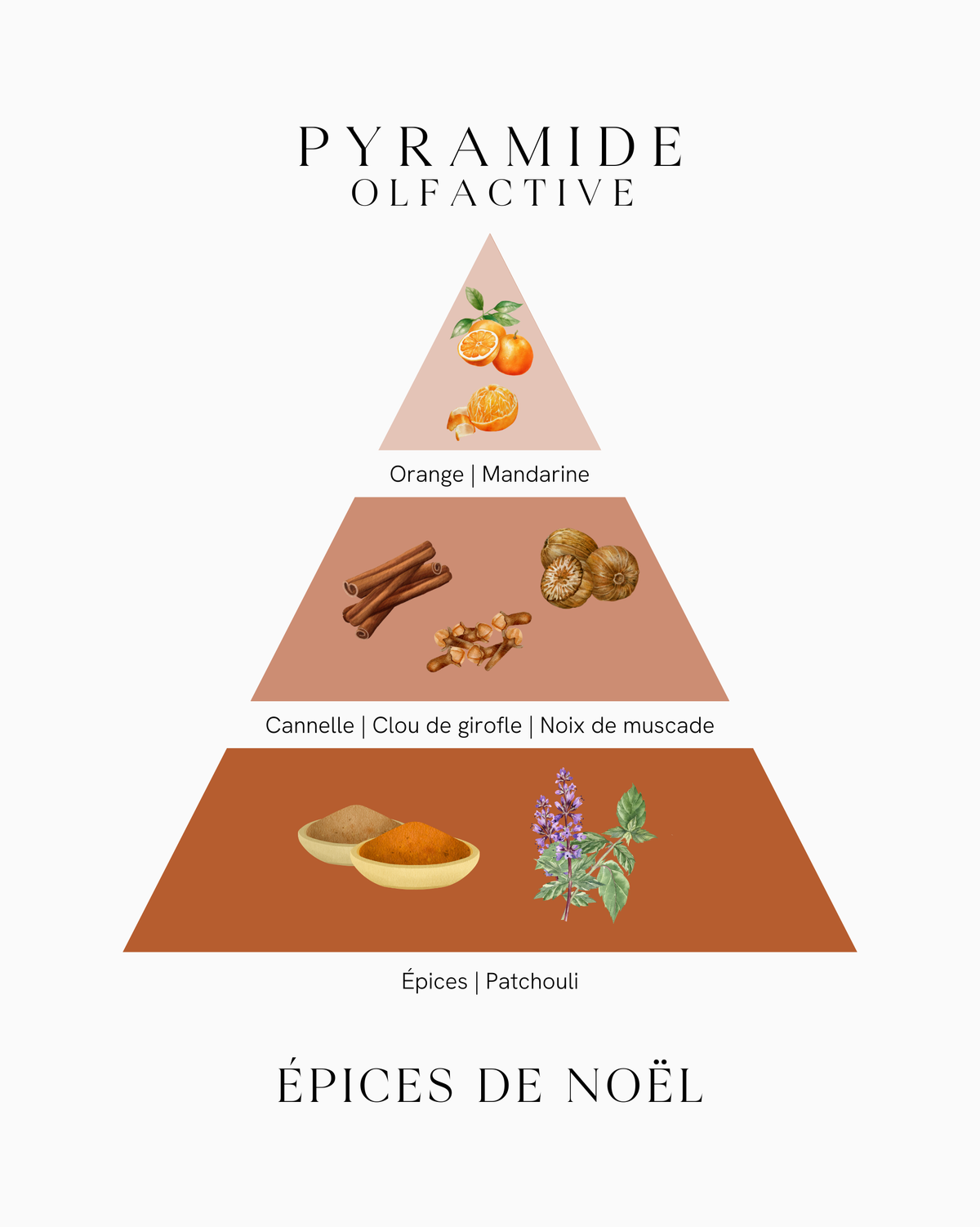 Pyramide olfactive Épices de Noël