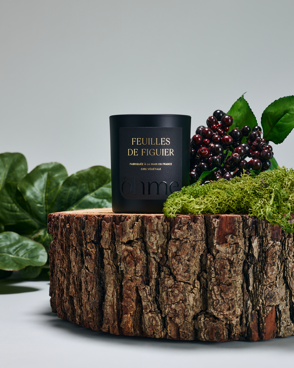 Bougie parfumée Feuilles de Figuier