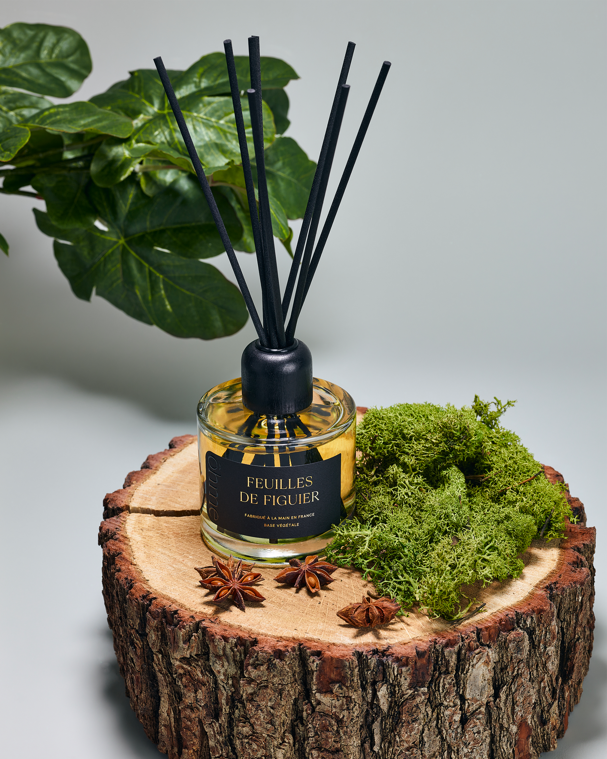 Diffuseur de parfum - Feuilles de Figuier