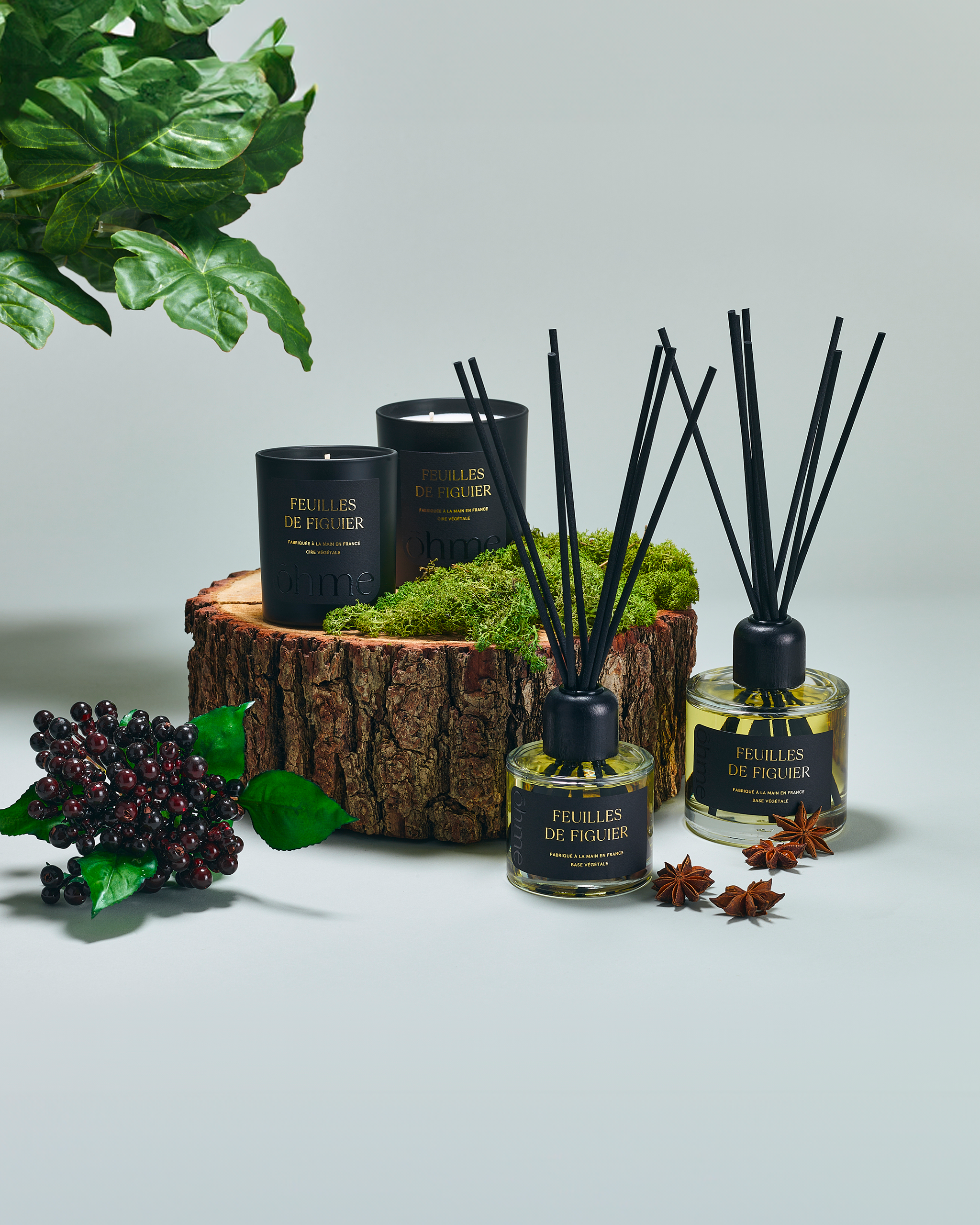 Parfum d'intérieur - Feuilles de Figuier