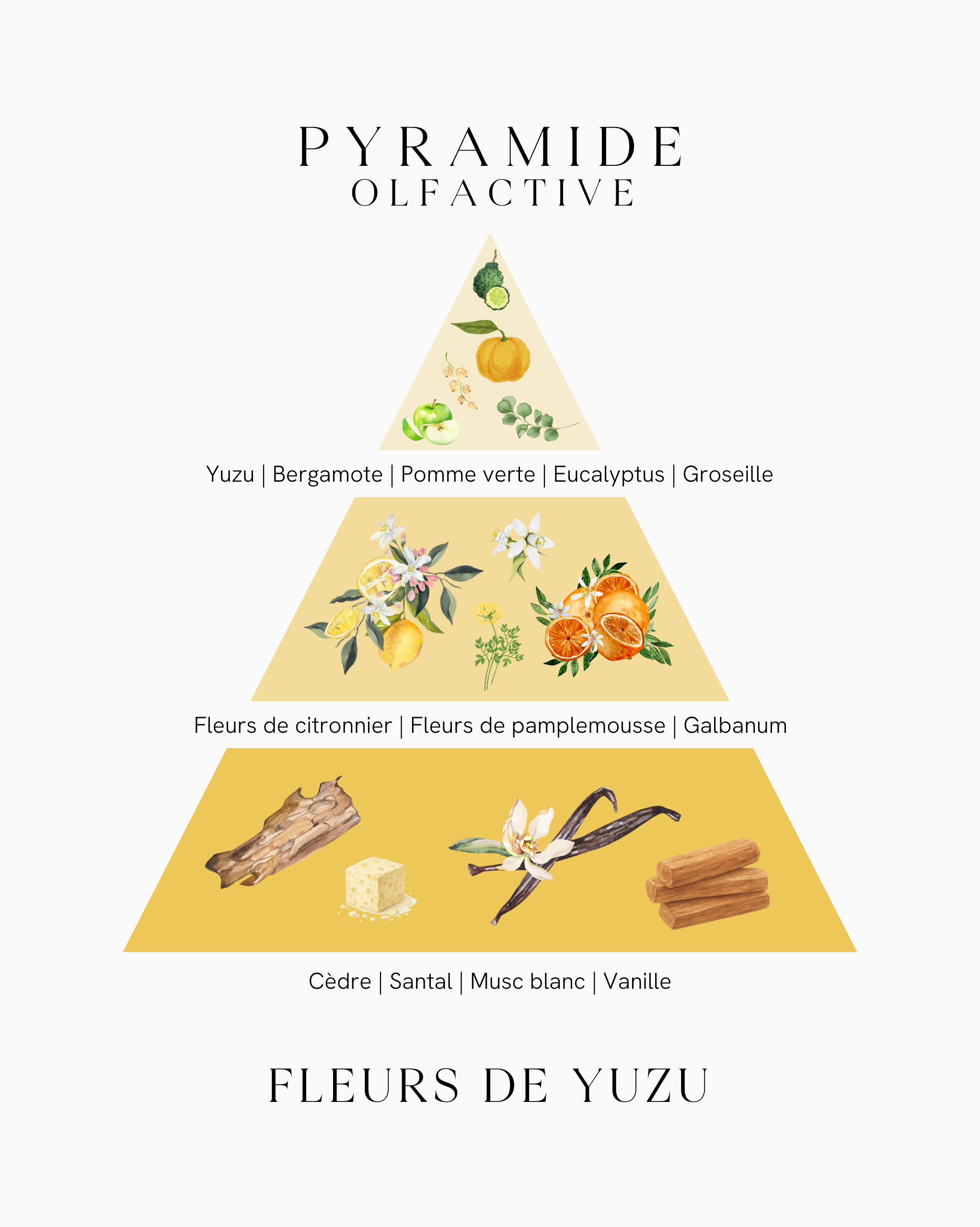 Bougie parfumée - Fleurs de Yuzu