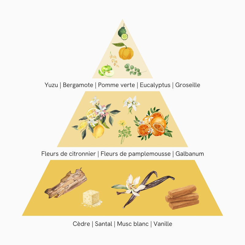 Fleurs de Yuzu
