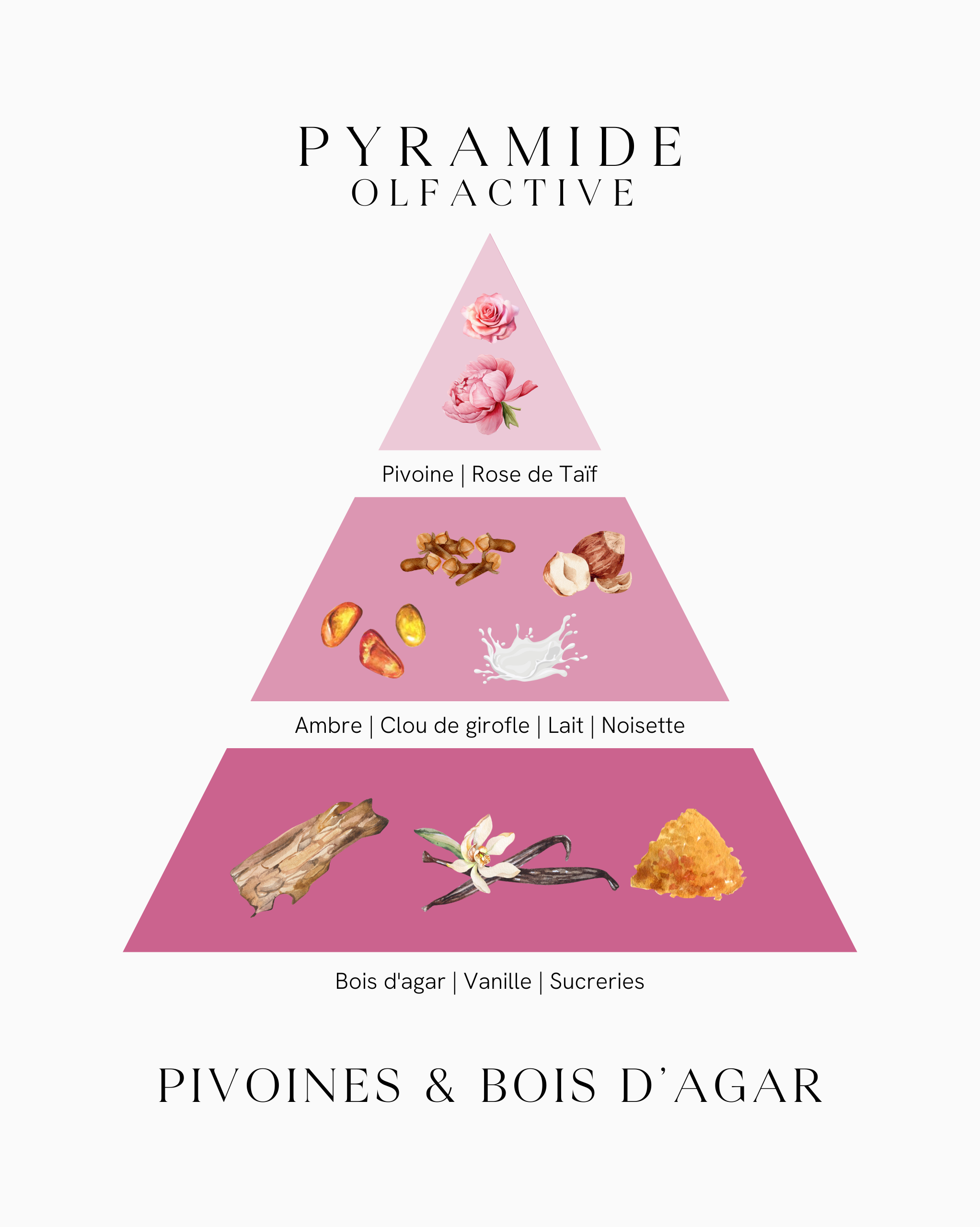 Recharge diffuseur de parfum - Pivoines & Bois d'Agar