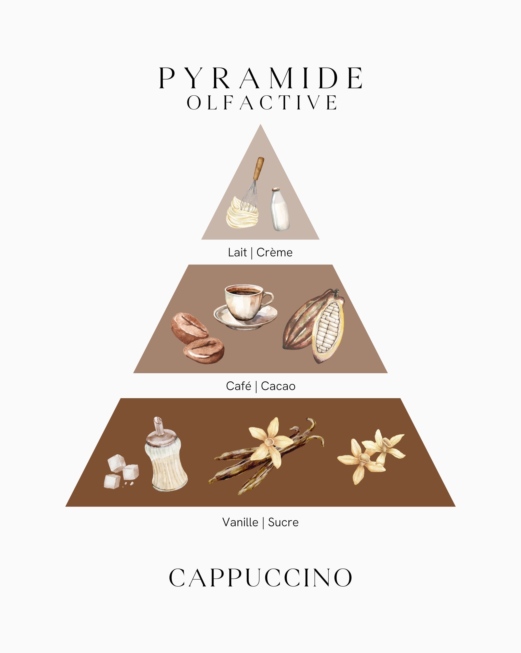 Pyramide olfactive Cappuccino