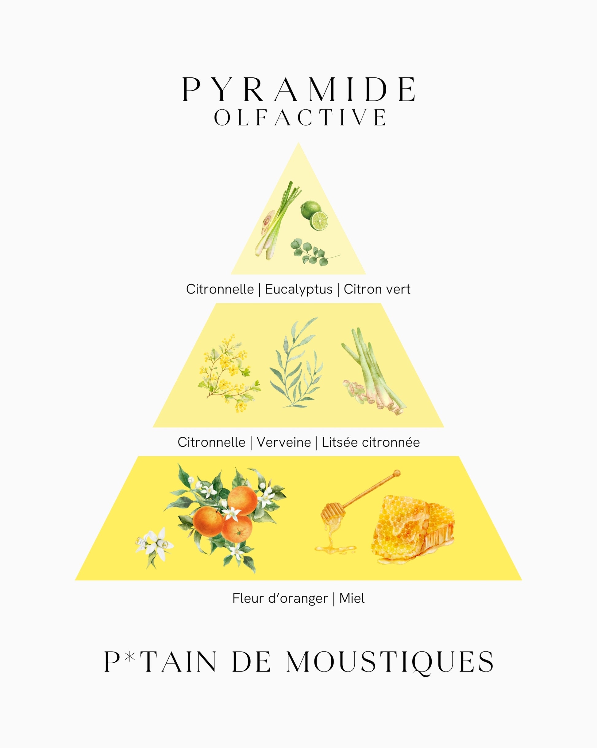 Pyramide olfactive P*tain de Moustiques