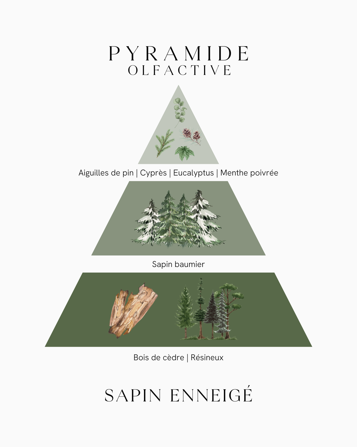Pyramide olfactive Sapin Enneigé