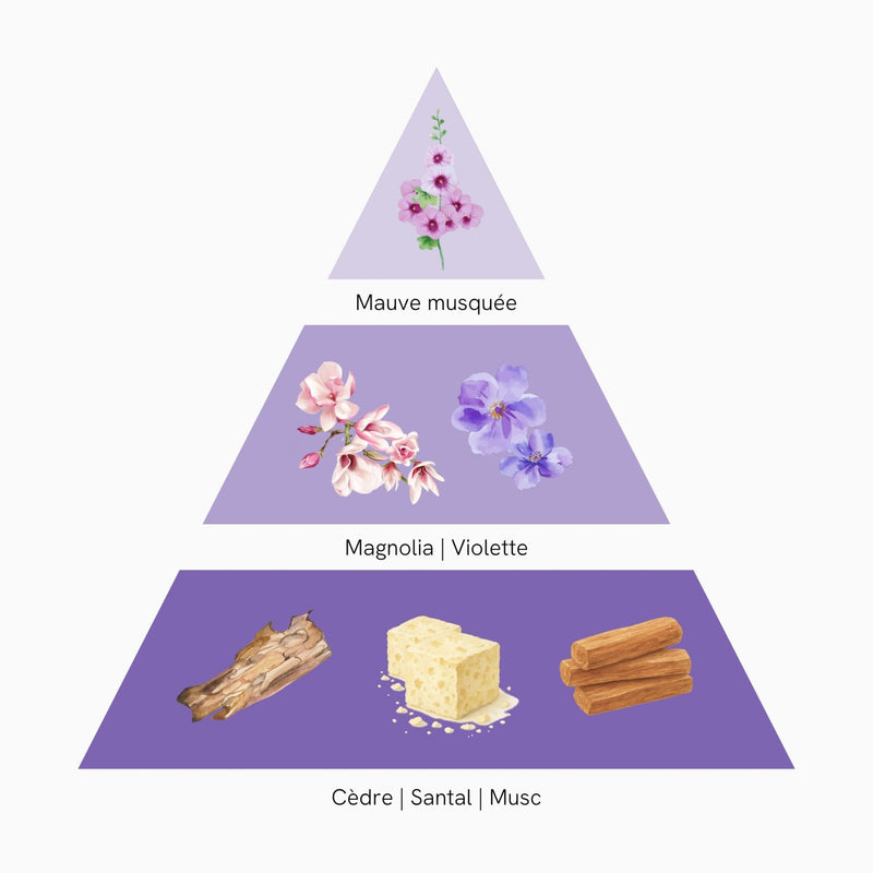 Violette Magnétique
